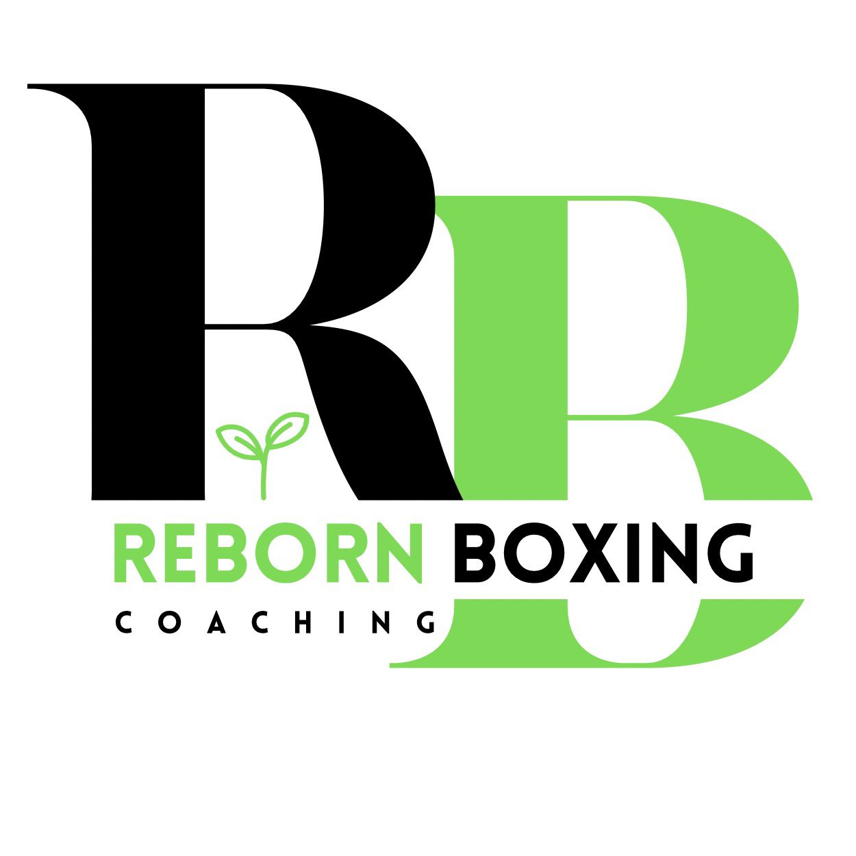 Reborn Boxing